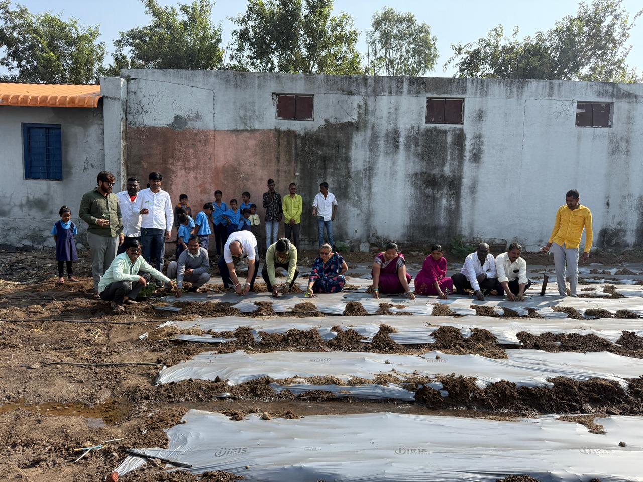 आदर्श जि प शाळा नागापूर परसबाग लागवड
